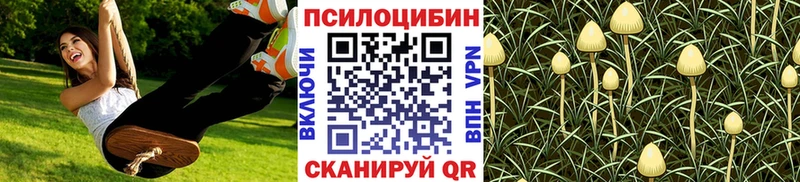 Псилоцибиновые грибы MAGIC MUSHROOMS цены Сосновка